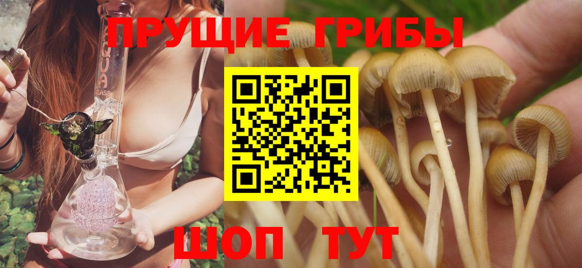 Псилоцибиновые грибы ЛСД Кировск